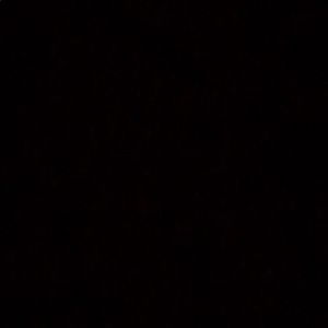 Meet your Posher, Janelle